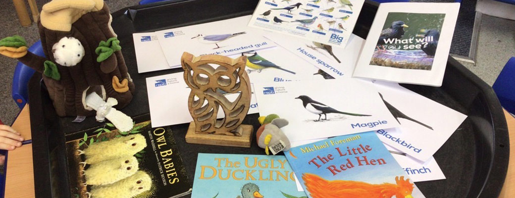 2023-banner-images-1