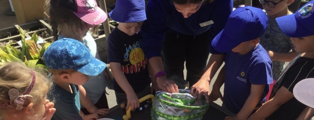 2023-banner-images-6